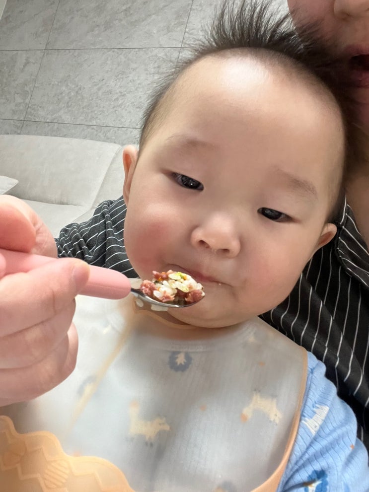  14개월 아기 유아식 훈제오리고기 볶음밥(브로콜리,당근 들어간 간편 볶음밥)
