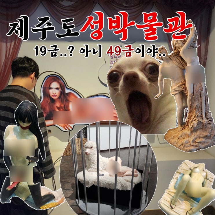  제주도 건강과 성박물관 실내 데이트 가볼만한 곳 입장료 할인 솔직후기