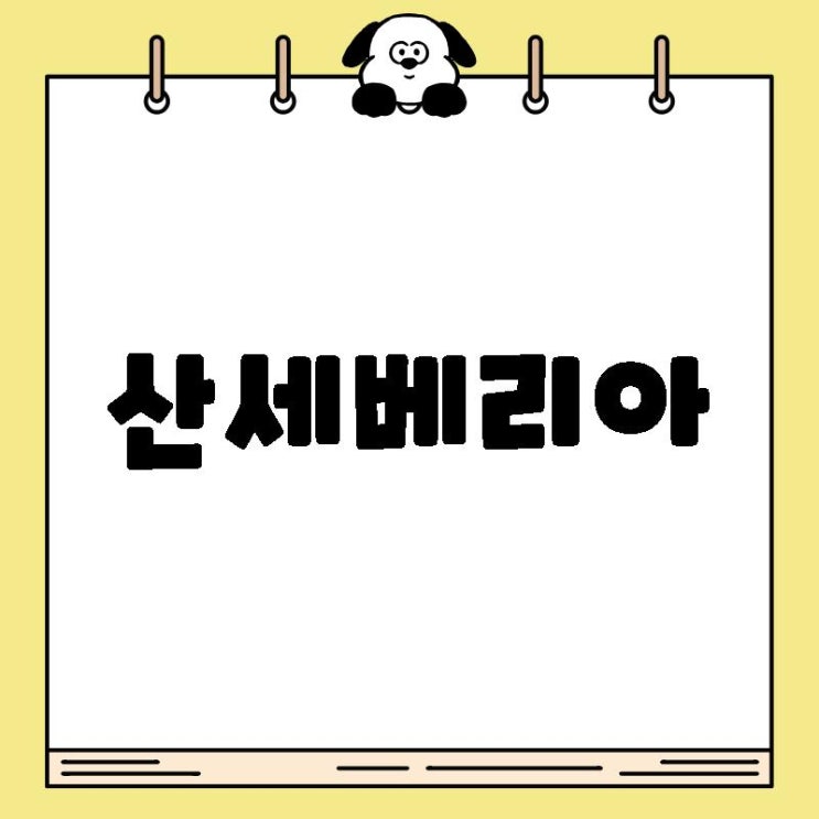  산세베리아 예약 사이트 보내기 저렴한 가격 꿀팁!