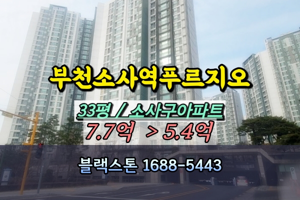  부천소사역푸르지오 경매 33B평 104동 중층