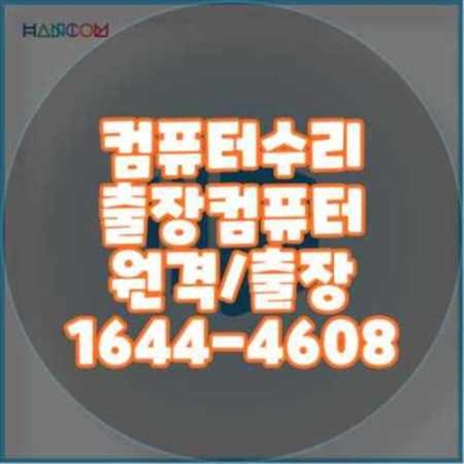  캡쳐원 설치 및 원격 프로그램 대행 설치의 모든 것