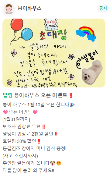사진 8