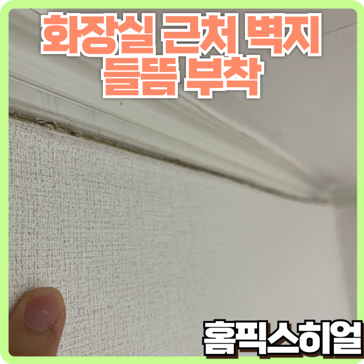  습기로 인한 벽지 들뜸 문제 해결: 화장실 벽지 재부착 작업