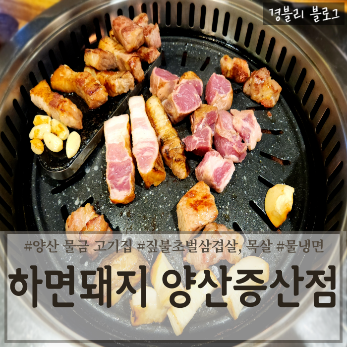  양산물금고기집 짚불구이고기집 증산삼겹살맛집 '하면돼지 양산증산점'