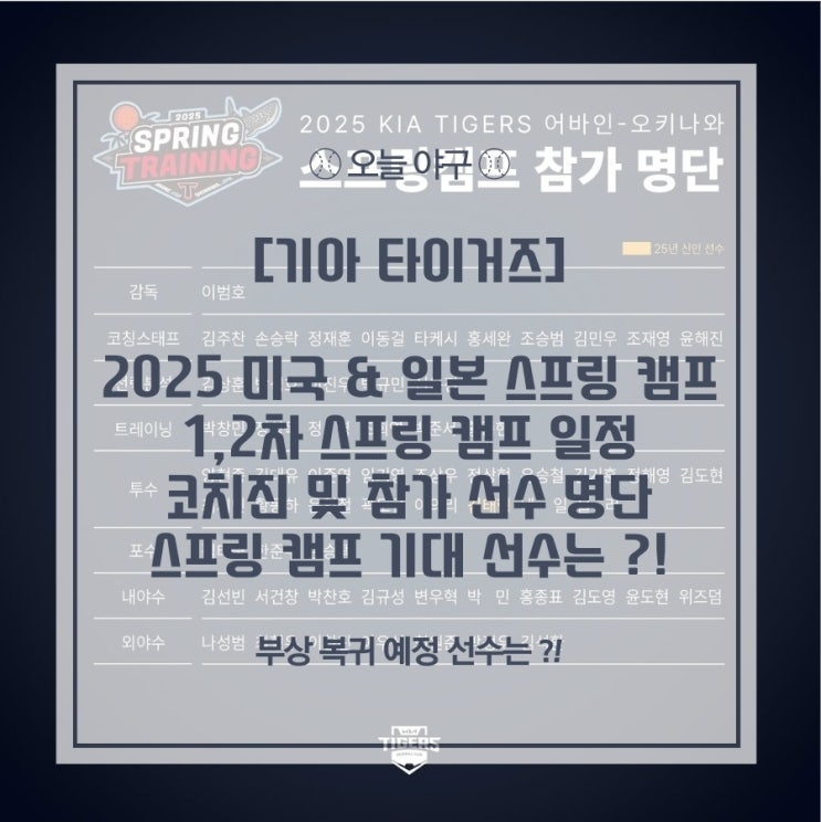 일본 스프링 캠프 일정 및 명단 / <b>부상</b> 복귀 이의리, <b>윤영철</b>