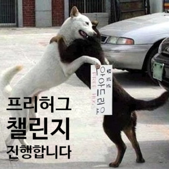  250118~19_여유를 부려본 주말의 갱수기