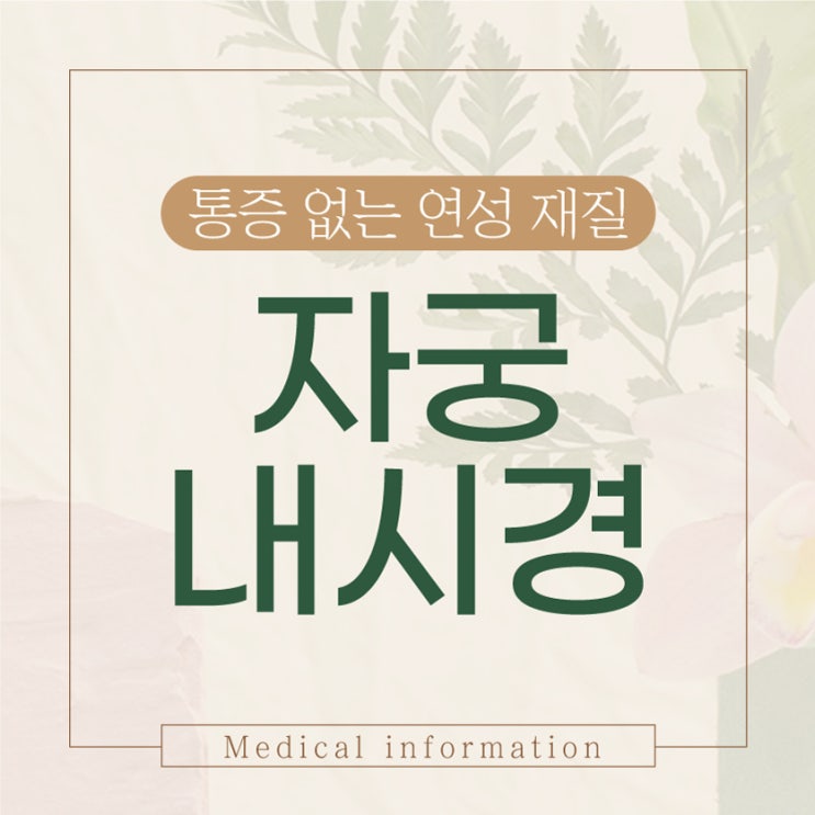  인천야간진료산부인과 자궁내시경 검사 통증없는 연성