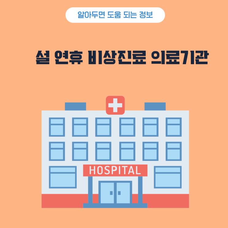  2025년 설 연휴 비상진료 의료기관 정보