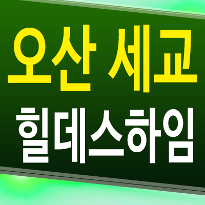  오산 세교2지구 힐데스 하임 아파트 벌음동 미분양 분양가 택지지구 분상제 공급