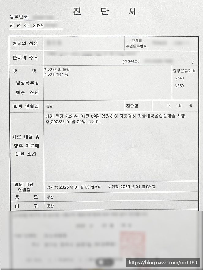 자궁내막증식증 N850, N851 제자리암 가능성