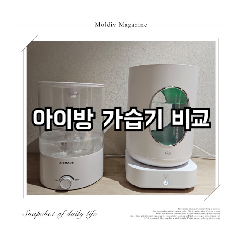 [리뷰 기록] 가열식가습기 오아 글라스팀 한달 사용후기(초음파식가습기 vs. 가열식가습기)