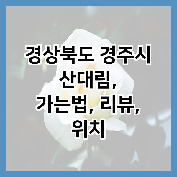산대림 사진 2