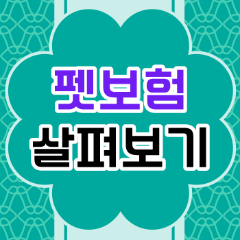  강아지 보험 비교 하고싶다면, 우리 아이 질병 내용 확인하고 가격까지 개인 맞춤 가격 알려드려요