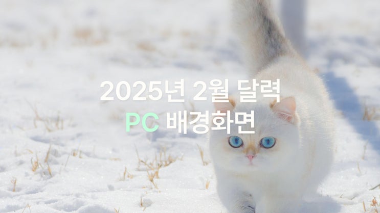  2025년 2월 달력 PC UHD 4K 차분한 겨울 감성 배경화면 7종