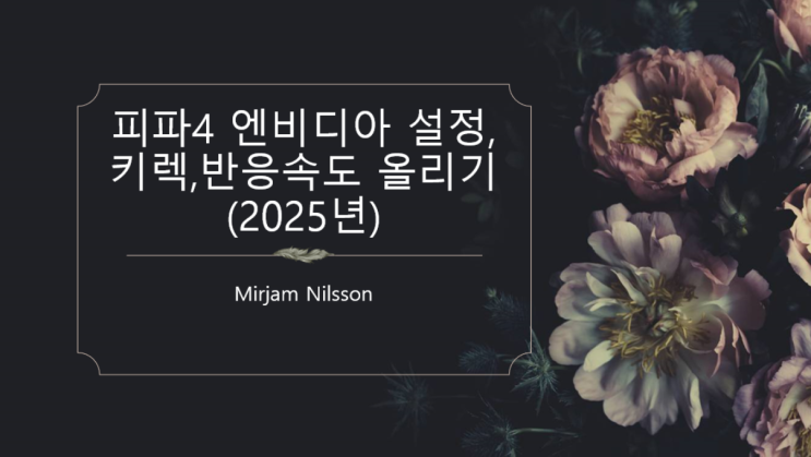  피파4(FC온라인) 키렉 엔비디아 최신버전(2025년)