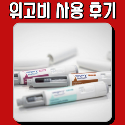 위고비 사용 후기: 실제 효과와 경험담 총정리