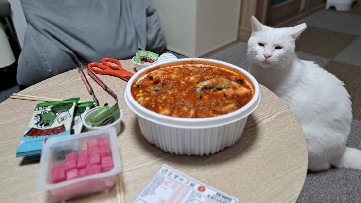  옥수 추가 접종과 합사 53일차 섬섬옥수 근황 ^^