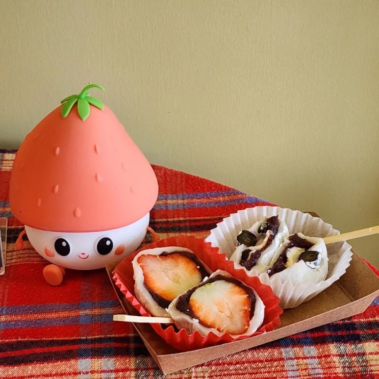  담양카페 담모찌 딸기모찌&크림치즈블리모찌 솔직후기