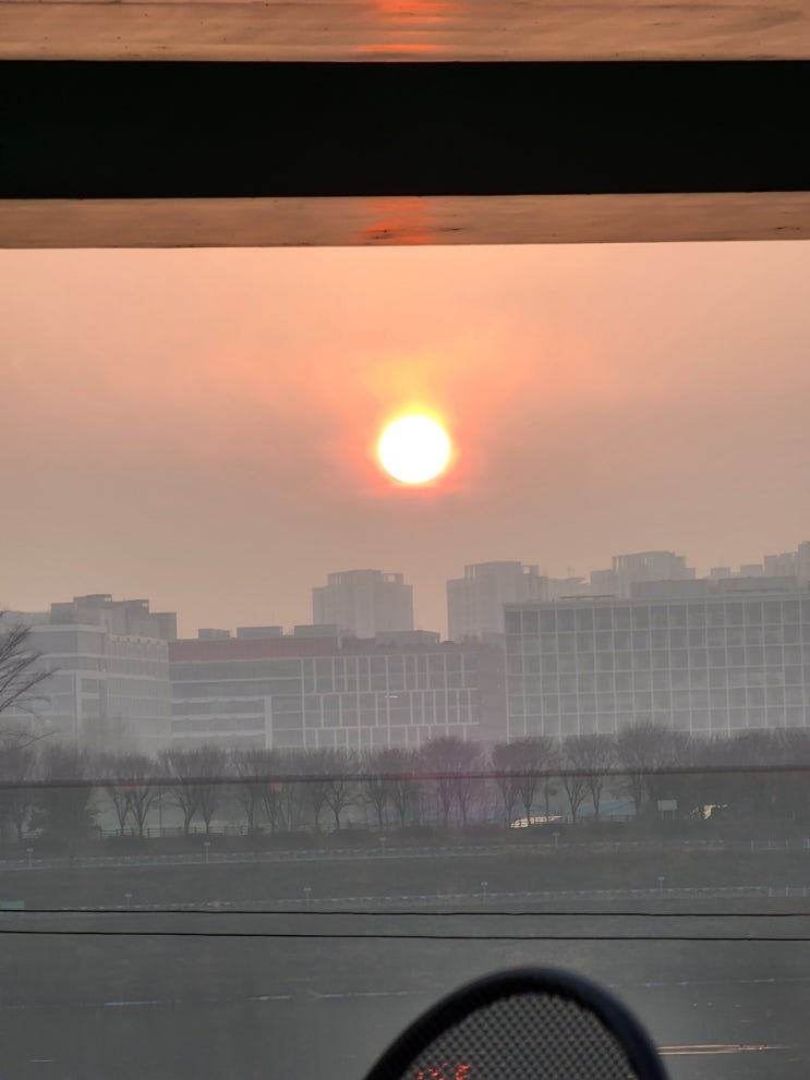  나가야 산다? ㅋㅋㅋ