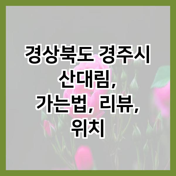 산대림 사진 1