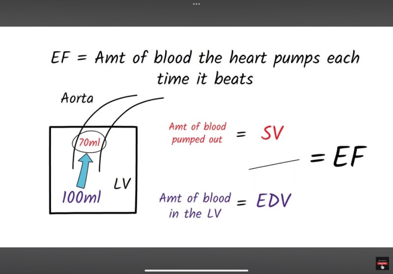 EF 의학용어 Ejection Fraction 과 심부전 HFrEF, HFpEF, EDV 공부하기 : 네이버 블로그