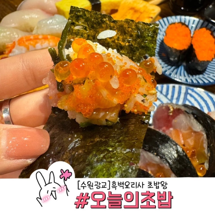  수원 광교 맛집 흑백 요리사 출연 오늘초밥 수원카이센동 추천