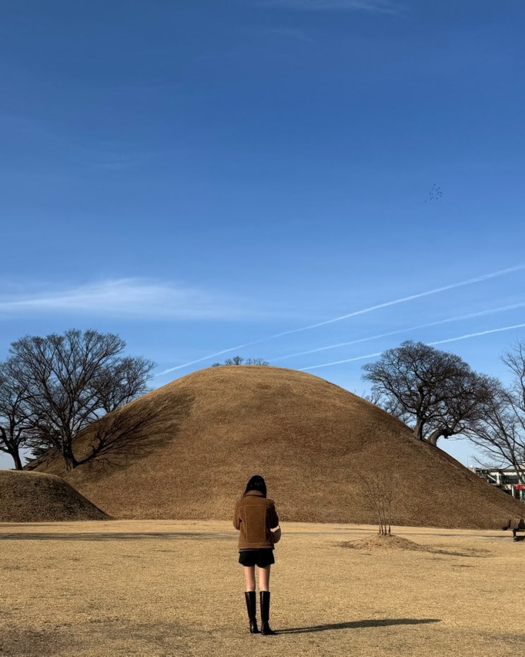  겨울 경주 1박2일 여행코스 (맛집만 다니는 사람의 일정표 공유 / 다과와, 커피 플레이스, 가마솥 족발, 그리고 또...)