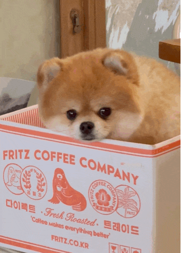 부산 전포 카페 카페데니스 애견동반 가능한 아몬드라떼 맛집