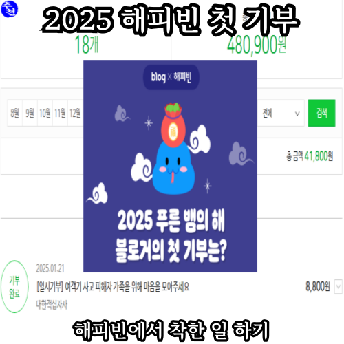 2025해피빈첫기부 대한적십자사 여객기 사고