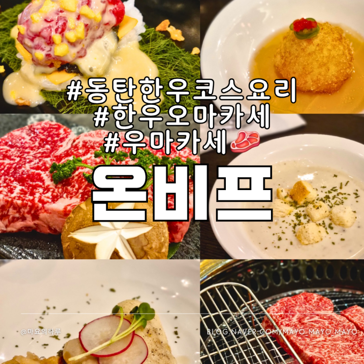  동탄오마카세 온비프 고급졌던 한우 맛집 동탄 코스요리