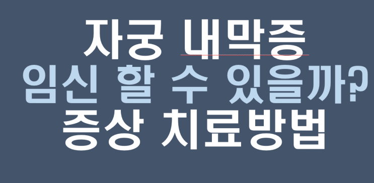  생리혈 역류 자궁질환 자궁내막증 임신할 수 있을까? 원인 증상 치료방법 총정리