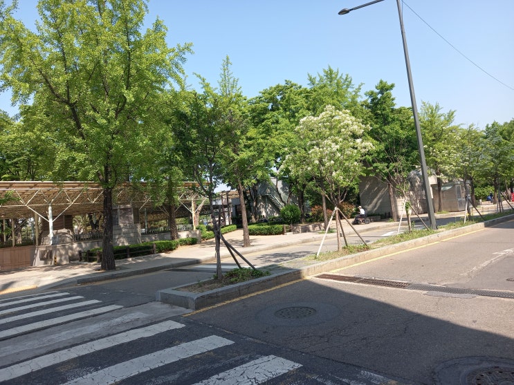 서울특별시 종로구 종묘광장공원 사진입니다.