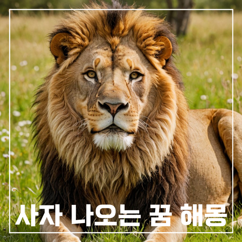 사자 나오는 꿈 아기 사자 꿈 사자한테 물리는 꿈 해몽