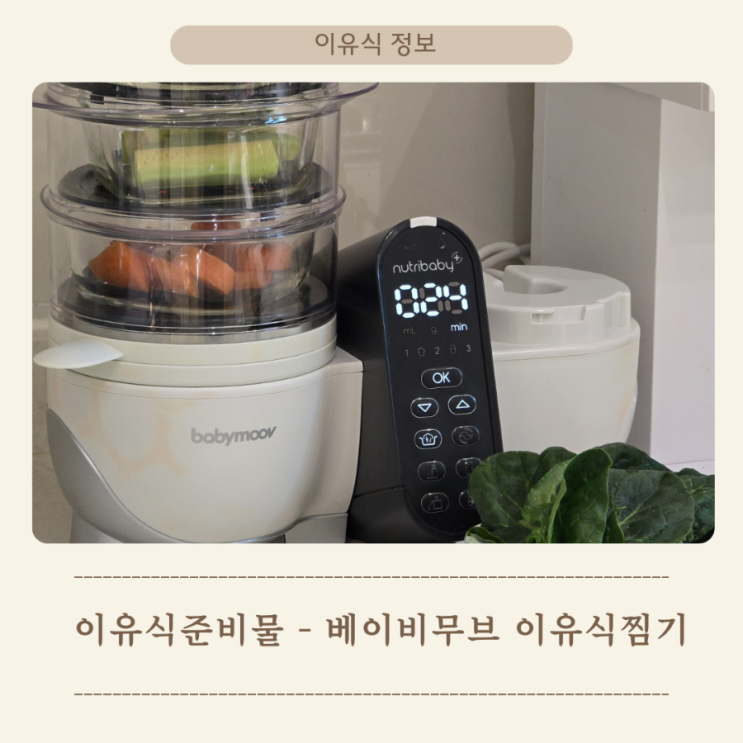  이유식초기 이유식마스터기 베이비무브 당근 후기