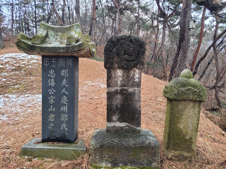  [서울 은평구] 영산군 이전 묘역, 숙용 심씨 묘표