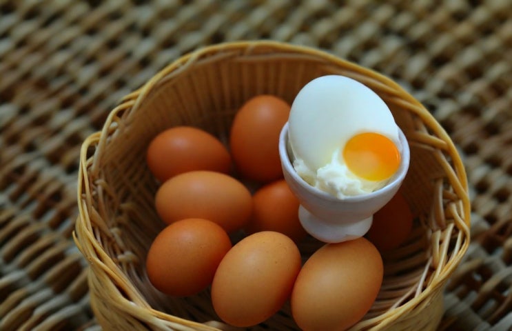  삶은계란 1개 단백질 함량, 칼로리 영양성분 분석!