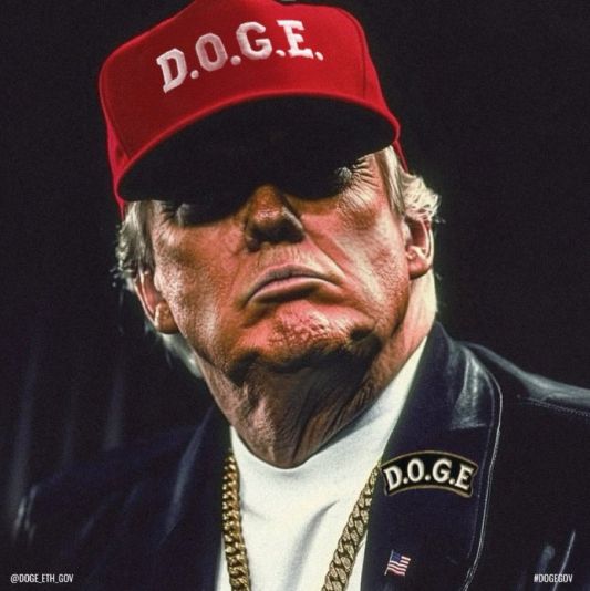  미국 대통령 트럼프 행정명령 정부 효율성을 위한 DOGE 계획 도입