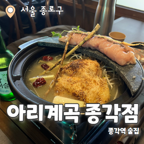  아리계곡 종각점 : 백숙이 맛있는 모임하기 좋은 종각역 술집 추천