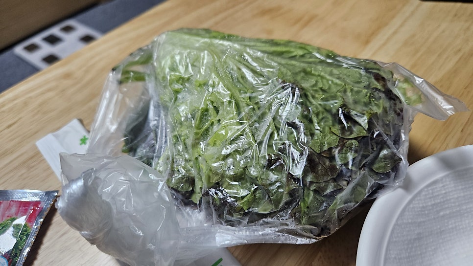 송우막썰어회집 사진 5