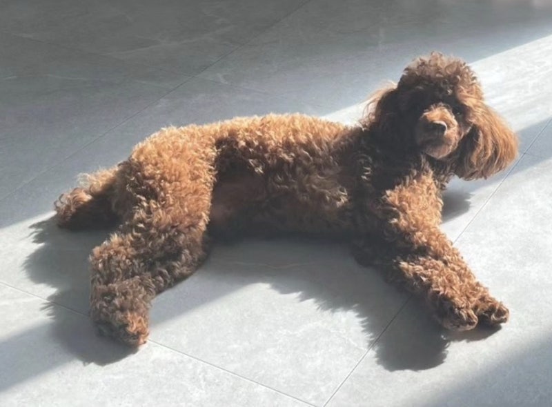 사진 9