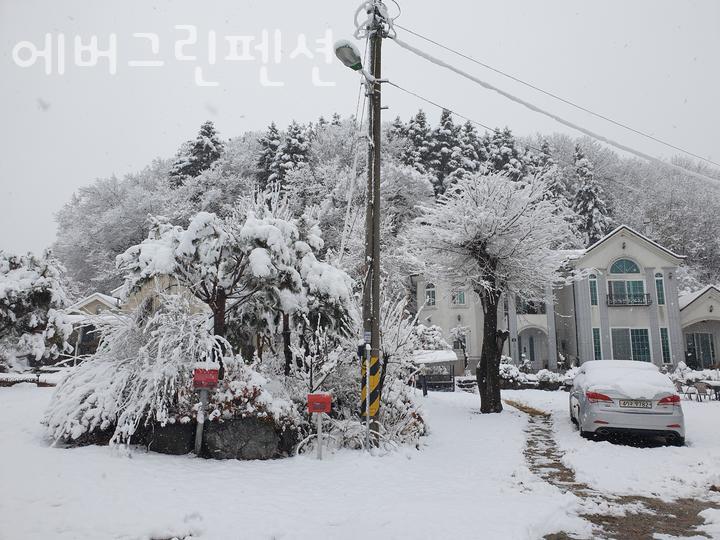 에버그린펜션 사진 1
