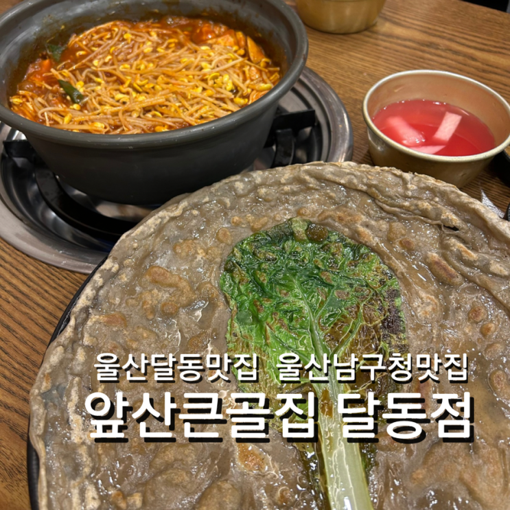  울산 남구청 맛집 앞산큰골집 달동점 단체모임 회식 세트메뉴 추천