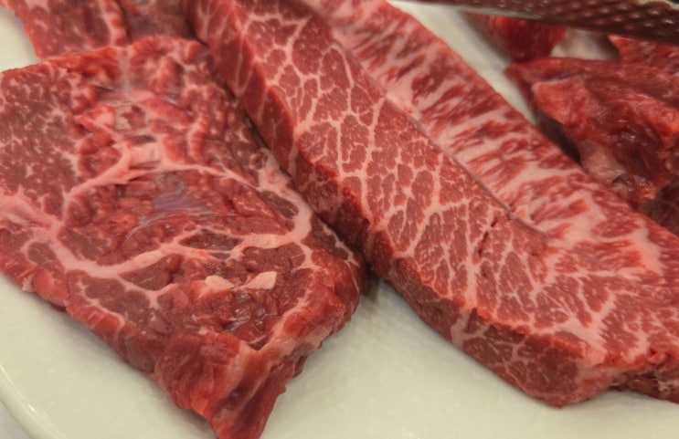  [고양시 일산동] 임가네 한우마을 풍동점 -  일산 애니골 한우 맛집, 가격 착하고 맛도 좋은 일산 맛집