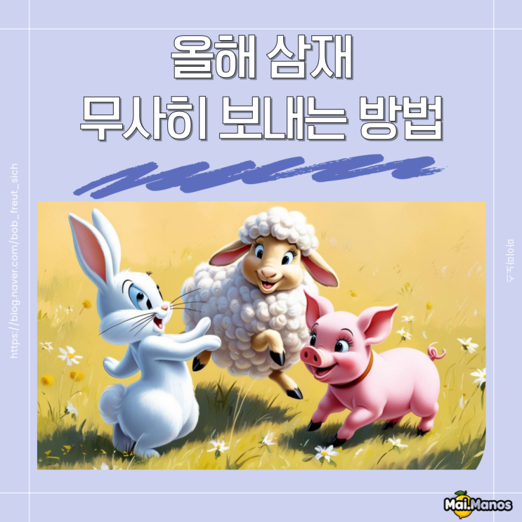  2025년 올해 삼재띠 무사히 보내는 방법