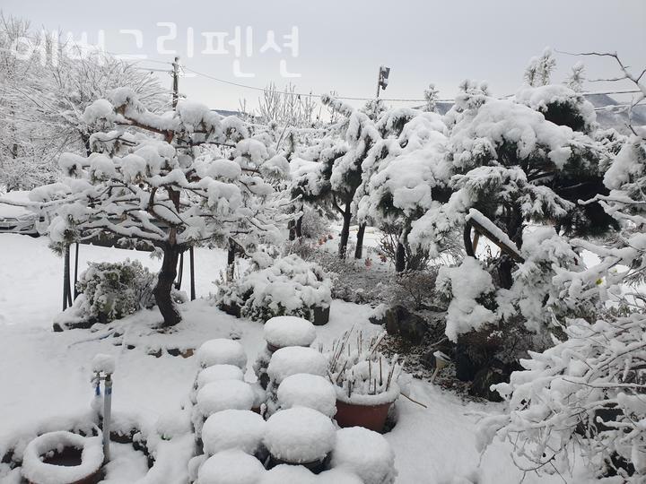 에버그린펜션 사진 4