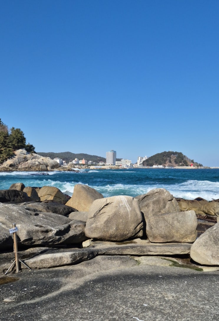 1. 21(화) 경찰관련기사