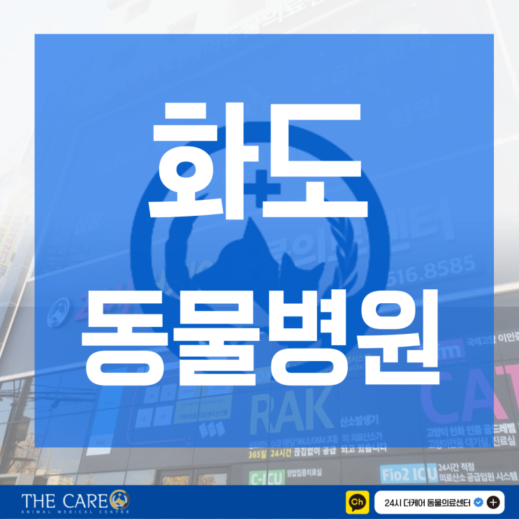  화도동물병원 최대 규모 전문 의료