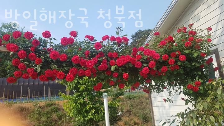 방일해장국 청북점 사진 5