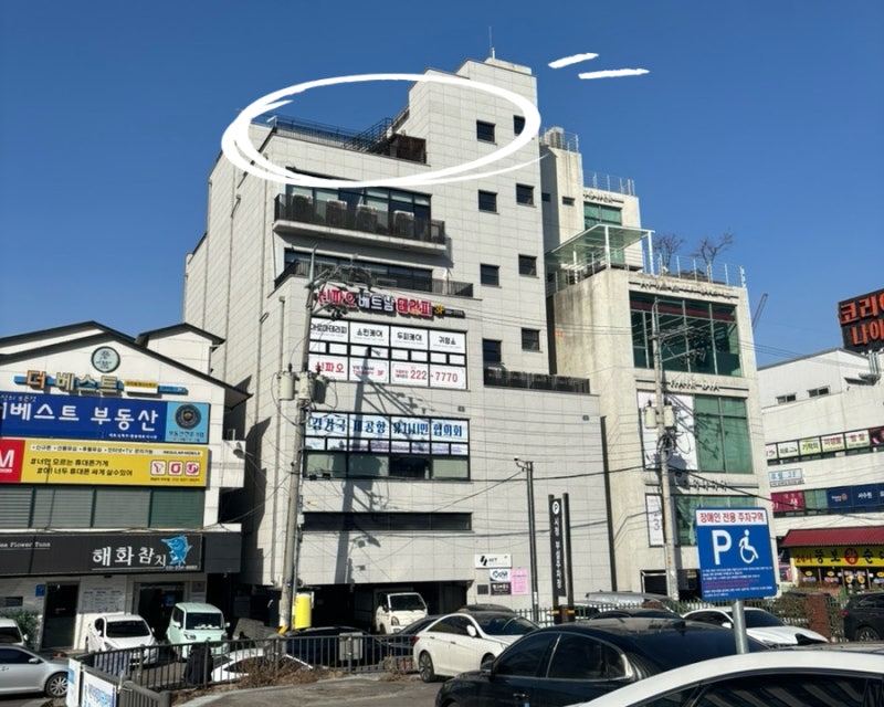 사진 5