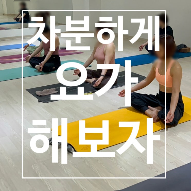  [탄현역헬스장] 요가 차분하게 해보자